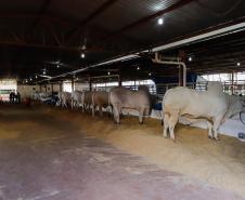Governador em exercício destaca força do agro paranaense em visita à Expoingá