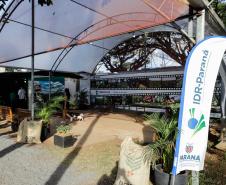 Governador em exercício destaca força do agro paranaense em visita à Expoingá