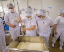 Curso de Fabricação de Queijos da UEPG está com inscrições abertas
