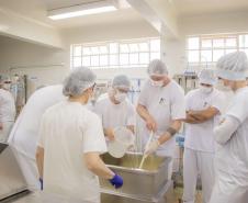 Curso de Fabricação de Queijos da UEPG está com inscrições abertas