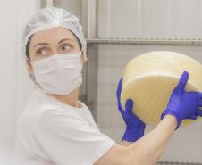 Curso de Fabricação de Queijos da UEPG está com inscrições abertas
