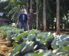 Projeto de extensão da UEM promove cultivo de alimentos para pessoas em recuperação