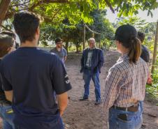 Projeto de extensão da UEM promove cultivo de alimentos para pessoas em recuperação