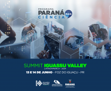 Estado apresenta iniciativas de fomento à inovação no Summit Iguassu Valley