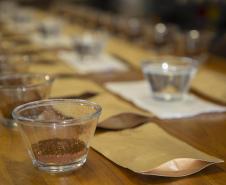 Com apoio do Tecpar, empreendedores vão produzir água para preparo de cafés especiais