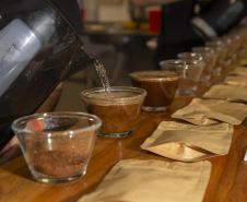 Com apoio do Tecpar, empreendedores vão produzir água para preparo de cafés especiais