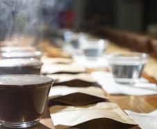 Com apoio do Tecpar, empreendedores vão produzir água para preparo de cafés especiais