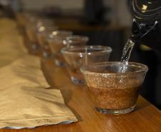 Com apoio do Tecpar, empreendedores vão produzir água para preparo de cafés especiais