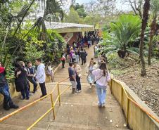 Vestibular de Inverno 2024 da UEM registra menor abstenção dos últimos 15 anos