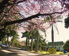 UEM ainda disponibiliza vagas para curso gratuito de empreendedorismo