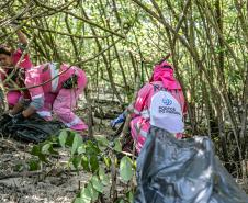 Mutirão de limpeza nos manguezais de Paranaguá recolhe 615 quilos de resíduos