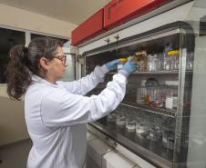 Análise de embalagens de alimentos do Tecpar assegura a saúde do consumidor