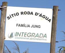 Com apoio do IDR-PR, abelhas produzem mel e aumentam produção de grãos no Noroeste