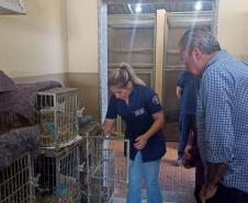 IAT renova convênio com Unifil para atendimento à fauna na região de Londrina