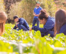 Colégio Agrícola da UEPG abre processo seletivo para ingresso em 2025