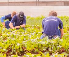 Colégio Agrícola da UEPG abre processo seletivo para ingresso em 2025