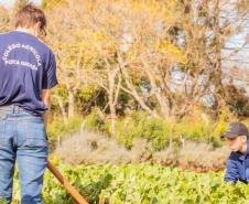 Colégio Agrícola da UEPG abre processo seletivo para ingresso em 2025