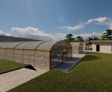 IDR-Paraná terá em Londrina horto de plantas medicinais, aromáticas e condimentares