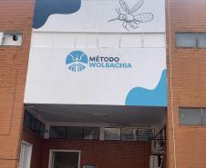 58 milhões de wolbitos devem ajudar Londrina no combate à dengue e arboviroses