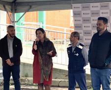 58 milhões de wolbitos devem ajudar Londrina no combate à dengue e arboviroses
