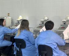 58 milhões de wolbitos devem ajudar Londrina no combate à dengue e arboviroses