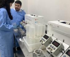 58 milhões de wolbitos devem ajudar Londrina no combate à dengue e arboviroses