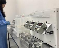 58 milhões de wolbitos devem ajudar Londrina no combate à dengue e arboviroses