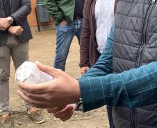 58 milhões de wolbitos devem ajudar Londrina no combate à dengue e arboviroses