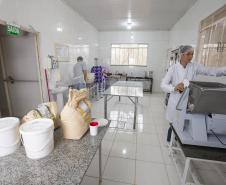 Tecpar orienta produção de industrializados orgânicos e convencionais no mesmo local