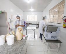 Tecpar orienta produção de industrializados orgânicos e convencionais no mesmo local
