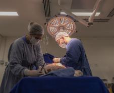 Mutirão do Hospital Universitário da UEPG irá diminuir espera por cirurgias ortopédicas