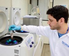 Com ensaios especializados, Tecpar identifica níveis de agrotóxicos em alimentos