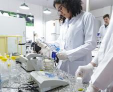Paraná é o quarto estado com mais estudantes universitários do Brasil, aponta Censo