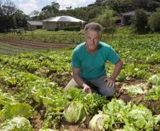 SÃO JOSÉ DOS PINHAIS (BRASIL), 25/10/2024; O produtor de orgânicos Luiz Claudio Ravaglio da Rocha que é certificado pelo TECPAR, Paraná, Brasil.
