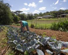 SÃO JOSÉ DOS PINHAIS (BRASIL), 25/10/2024; O produtor de orgânicos Luiz Claudio Ravaglio da Rocha que é certificado pelo TECPAR, Paraná, Brasil.