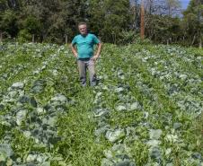 SÃO JOSÉ DOS PINHAIS (BRASIL), 25/10/2024; O produtor de orgânicos Luiz Claudio Ravaglio da Rocha que é certificado pelo TECPAR, Paraná, Brasil.
