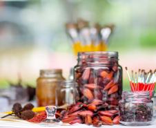 MAC-PR promove oficina sobre criação de pigmentos naturais com plantas nativas