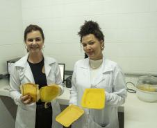 Pesquisadora da UEM transforma macaúba em embalagens biodegradáveis