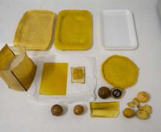 Pesquisadora da UEM transforma macaúba em embalagens biodegradáveis