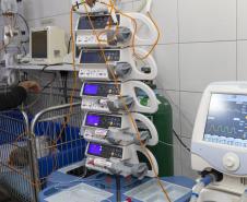 Pioneiro: Tecpar conclui projeto-piloto de acreditação de estabelecimentos veterinários