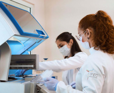 Com apoio do Estado, pesquisa do DNA dos paranaenses já coletou 3 mil amostras