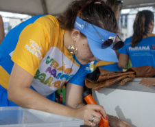 Atividade física, saúde e reciclagem: universidades têm novas atrações no Verão Maior