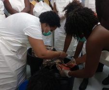 Projeto paranaense de produção de couro de peixe será implantado em Cabo Verde