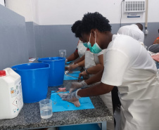 Projeto paranaense de produção de couro de peixe será implantado em Cabo Verde