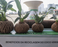 Veranistas aprendem a fazer vaso de plantas com fibra de coco em oficina no Verão Maior