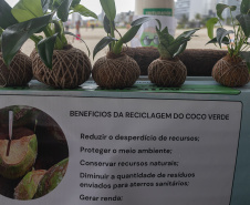 Veranistas aprendem a fazer vaso de plantas com fibra de coco em oficina no Verão Maior
