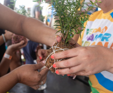 Veranistas aprendem a fazer vaso de plantas com fibra de coco em oficina no Verão Maior