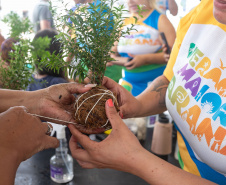 Veranistas aprendem a fazer vaso de plantas com fibra de coco em oficina no Verão Maior