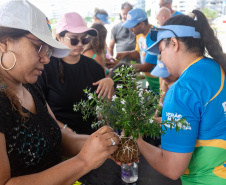 Veranistas aprendem a fazer vaso de plantas com fibra de coco em oficina no Verão Maior