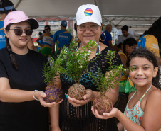 Veranistas aprendem a fazer vaso de plantas com fibra de coco em oficina no Verão Maior